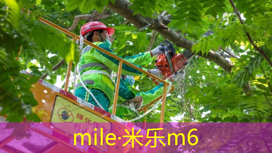 米乐m6官网：羽克网球拍怎么样