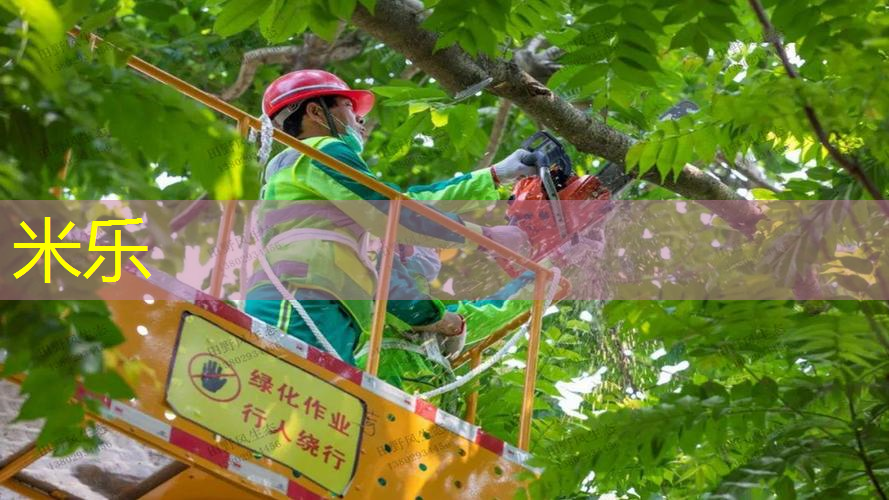 香奈儿网球拍耳环怎么戴