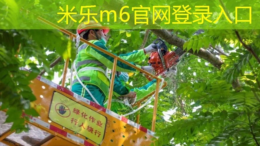 mile米乐m6官网：迈特斯网球拍价位表
