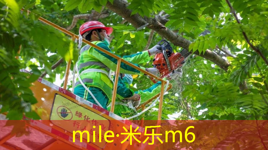 mile米乐m6官网：网球拍的袋子怎么做手工