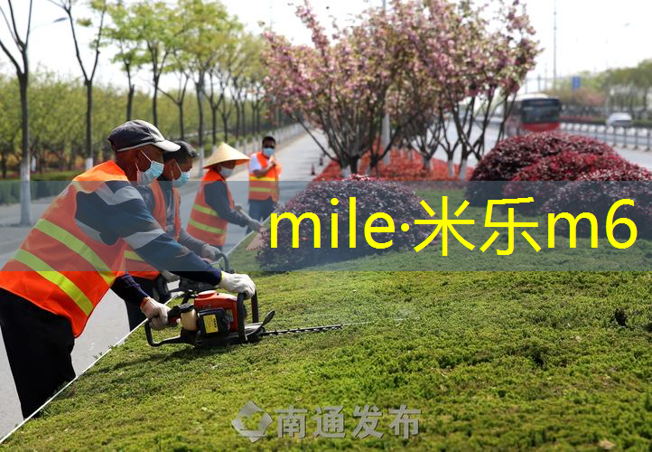 米乐m6官网：超轻黏土体育手工网球拍