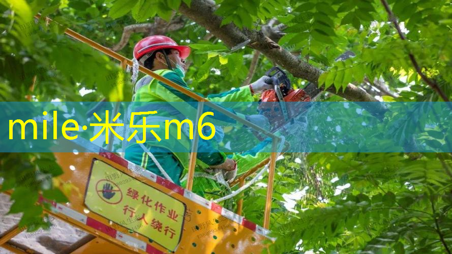 网球拍如何判断是否换线