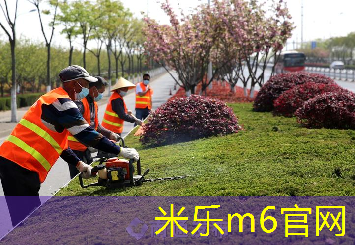 米乐m6官网：我的网球拍说明文