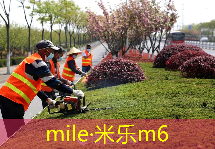 米乐：单人网球拍单只还是双只