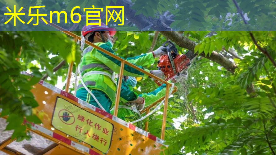 羽克网球拍怎么样