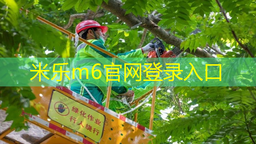 香奈儿网球拍耳环怎么戴