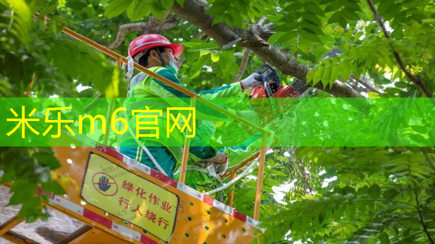 迈特斯网球拍价位表
