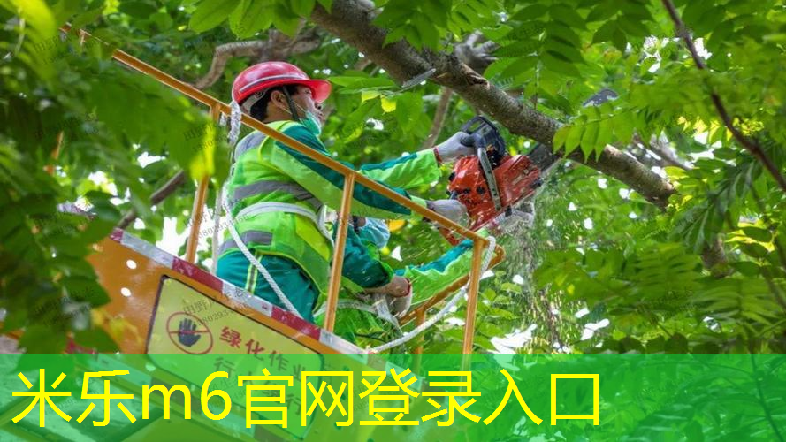 网球拍的袋子怎么做手工