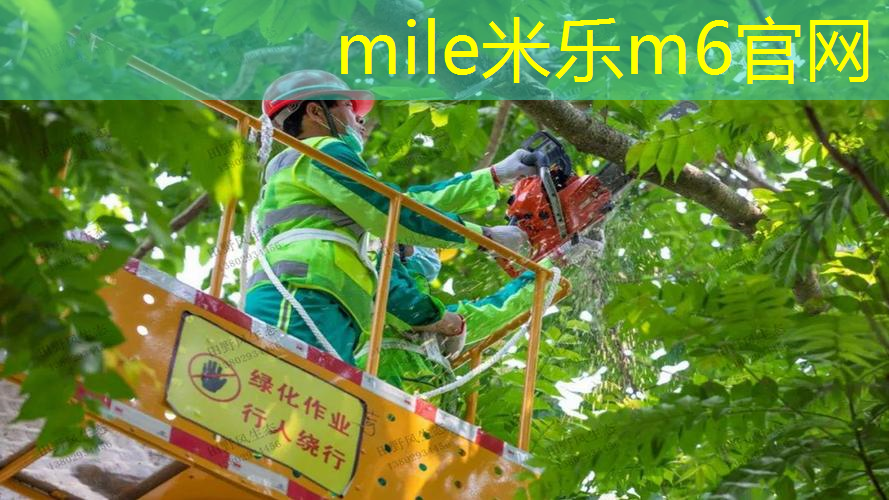 300克网球拍青少年