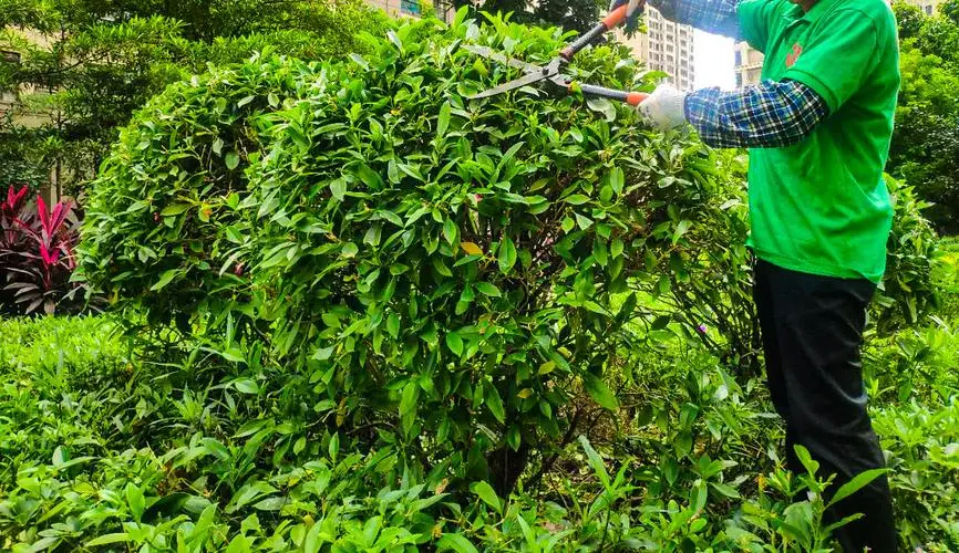 为什么网球拍越重越好